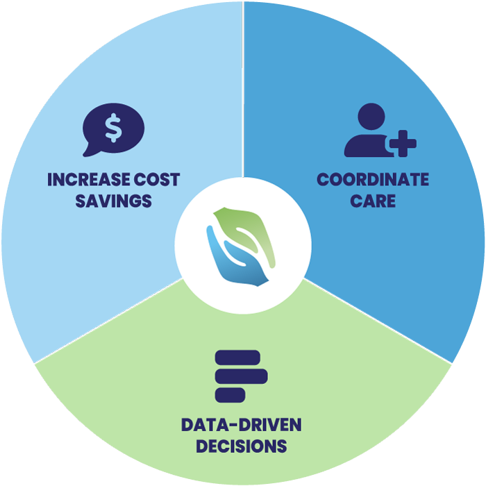 graph visual of 3 specializations - cost savings, coordinate care and data-driven decisions